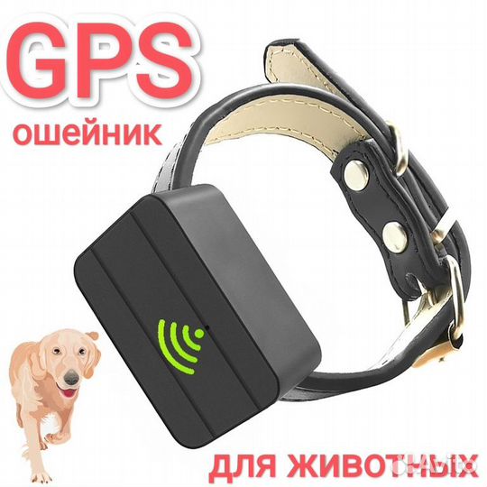Gps ошейник для животных