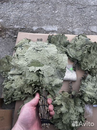 Веники дубовые