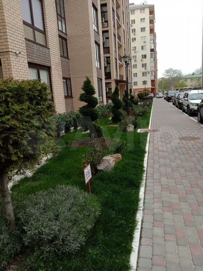 Квартира-студия, 26 м², 1/14 эт.