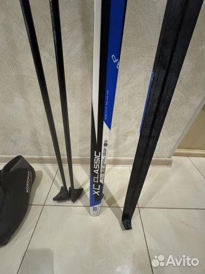 Горные лыжи