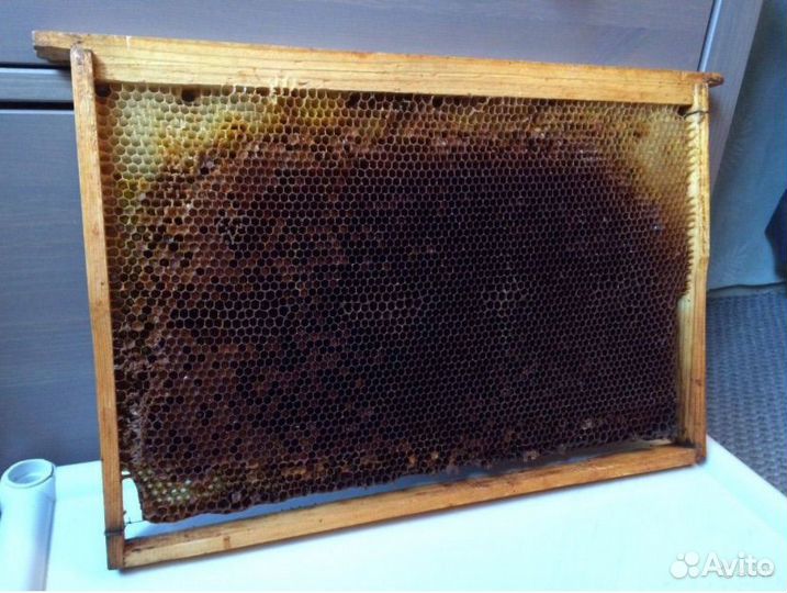 Рамки с сушью