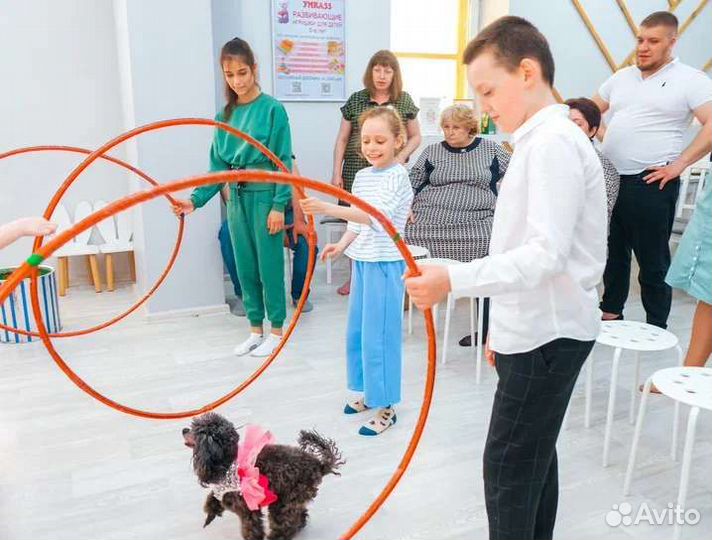 Шоу дрессированных животных и аниматоры