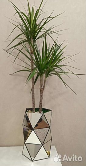 Кашпо в интернете