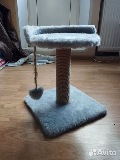 Когтеточка