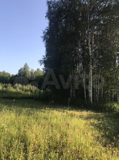 Участок 18 сот. (СНТ, ДНП)