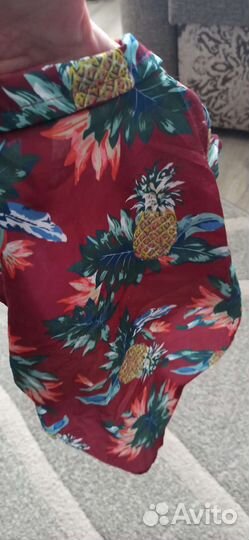 Рубашка Новая для кошек или маленьких собак