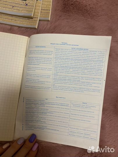 Тетради для школы