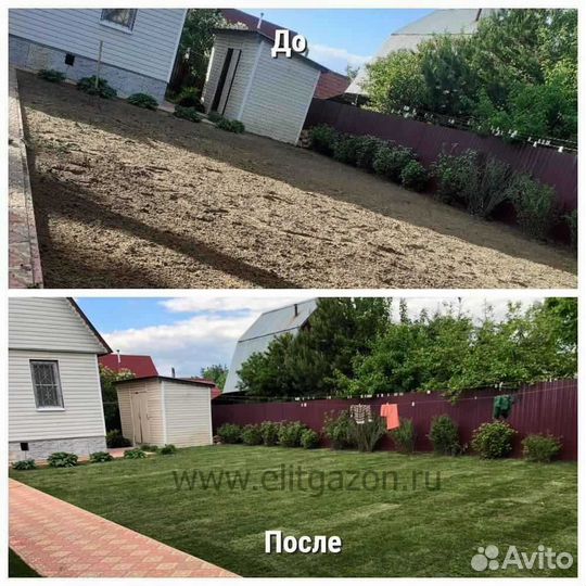 Рулонный газон, укладка, продажа