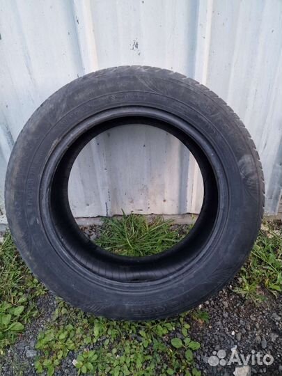 Nokian Tyres Nordman SX 205/55 R16 91