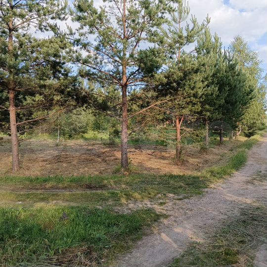 Участок 12 сот. (СНТ, ДНП)