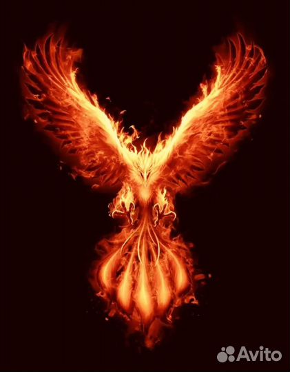 Автомаляр жестянщик