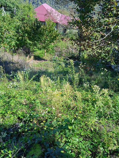 Участок 21 сот. (ИЖС)