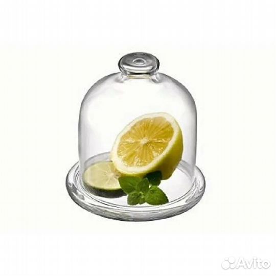 Лимонница СССР