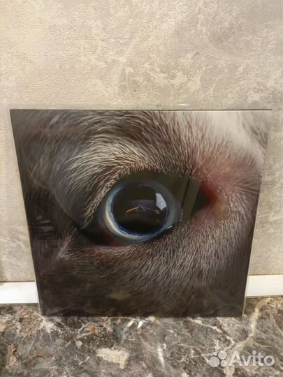 Винил Roger Waters 