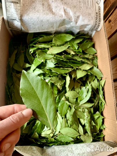 Лавровый лист