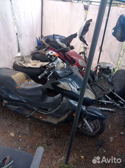 Продам скутер