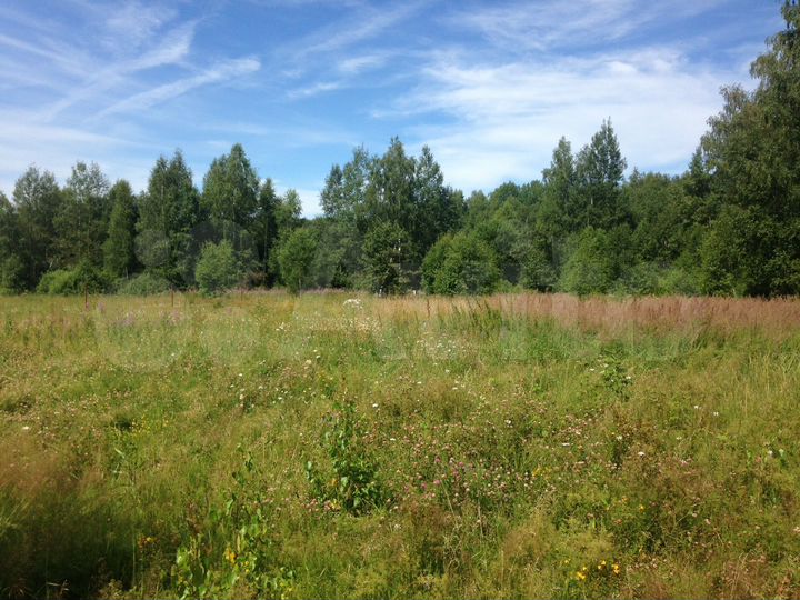 Участок 1,18 га (ИЖС)