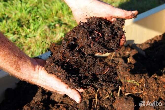 Перегной, чернозём, навоз в Томске