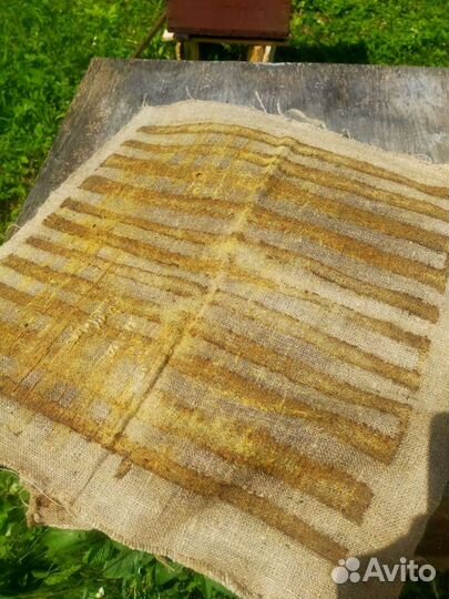 Холсты с прополисом