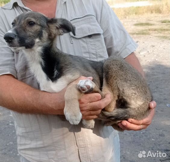 Ладочка, 4 месяца