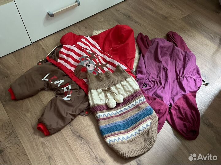 Костюмы для собаки