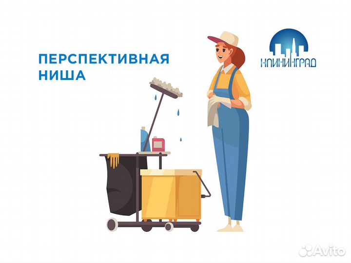 Бизнес премиальные услуг клининга - «клининград»