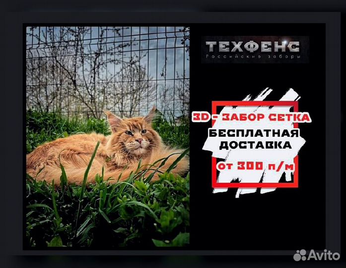 Забор из 3д сетки