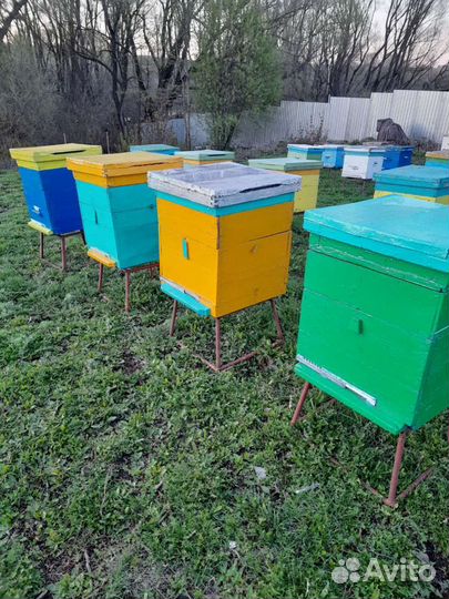Продаю улья