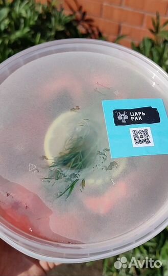 Раки в ведре, с доставкой на дом