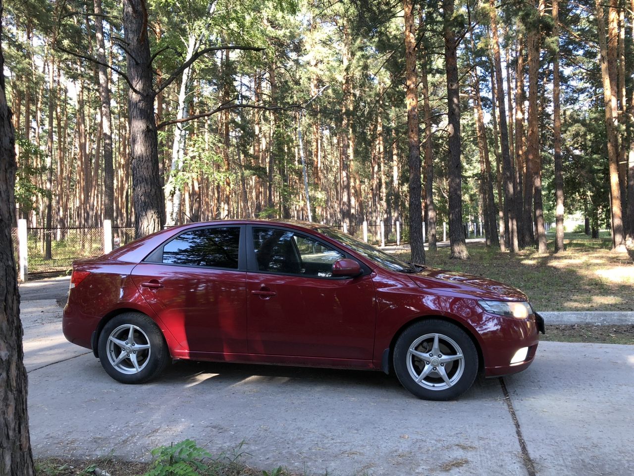 Kia Cerato: фото владельца