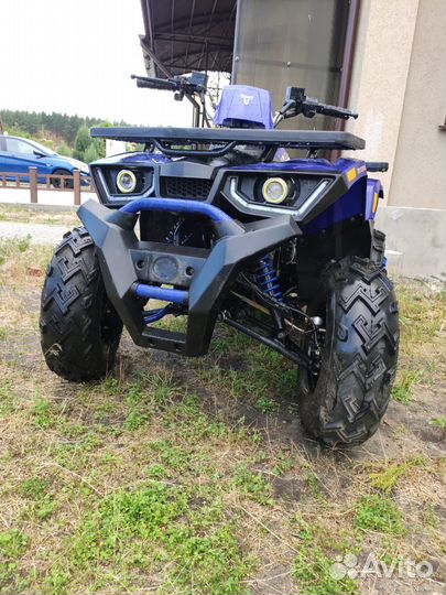 Avantis Hunter 200new