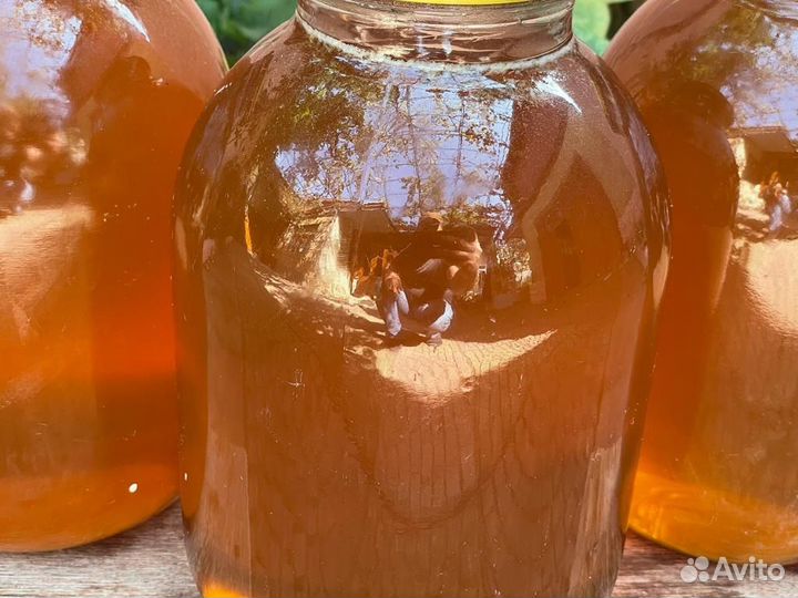 Мед лечебный