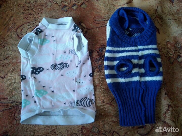 Одежда для кошек