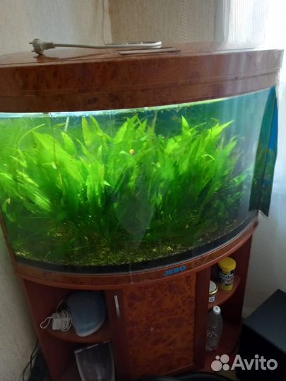 Аквариумы Jebo