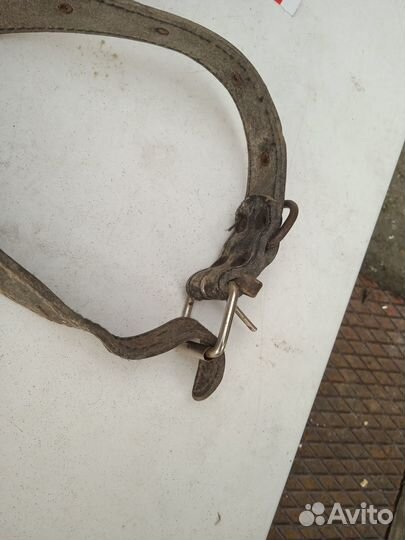 Поводок для собак (37)