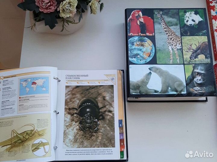 Книги энциклопедии детские