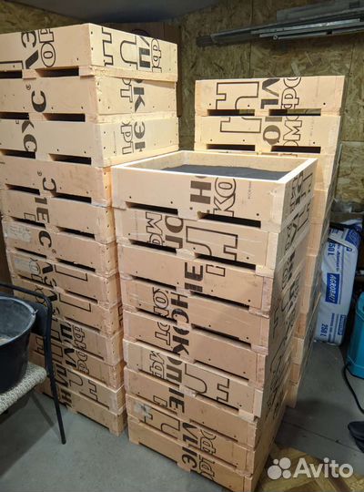 Черви дендробена, коконы червей дендробена