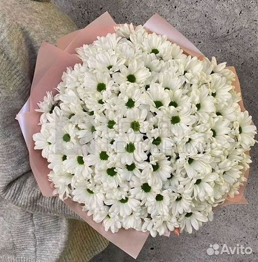 Хризантема. Букеты Цветы доставка