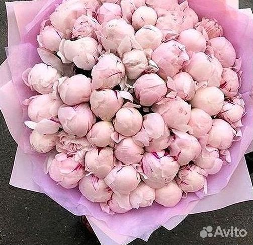Пионы Цветы Доставка