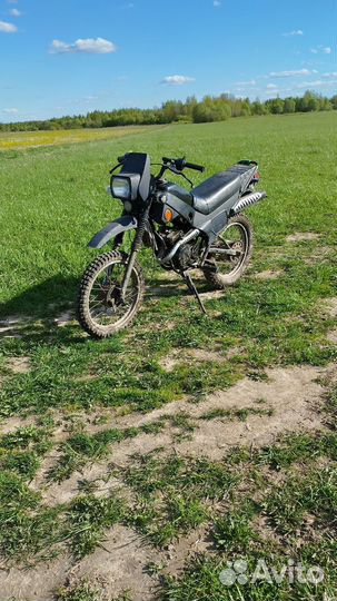 Зид 50 пилот