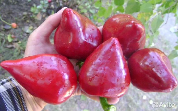 Перец Клубничный семена