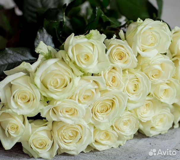 Букет роз 101 роза 51 роза