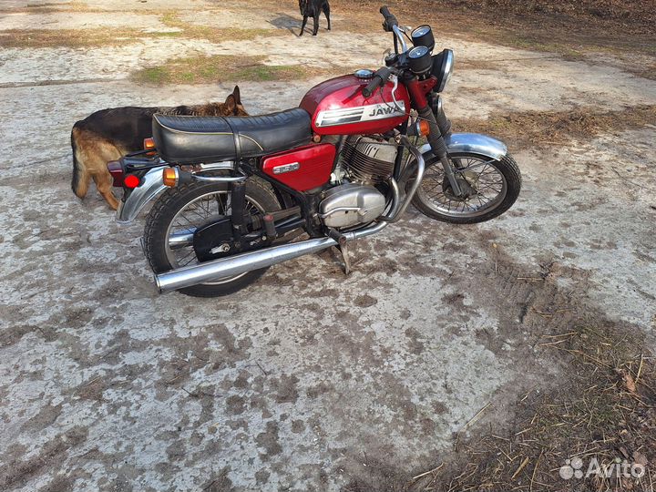 Продам Яву, на ходу,6 вольт без переделок, сток