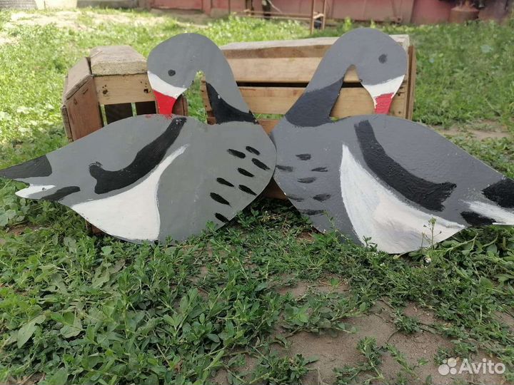 Профиля гусей