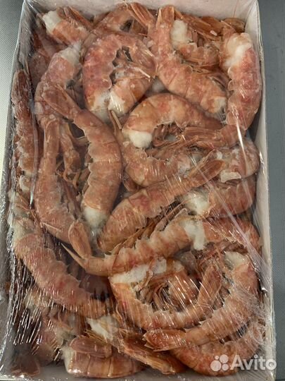 Лангустины / морепродукты