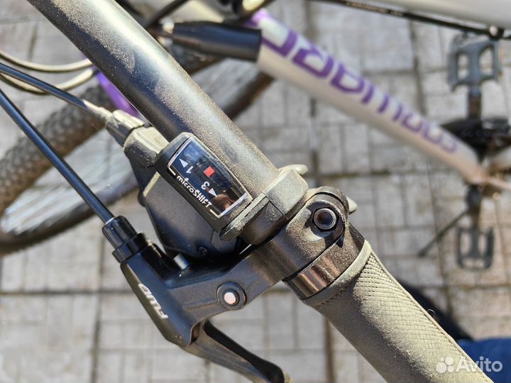 Forward sporting 29 2.0 disc