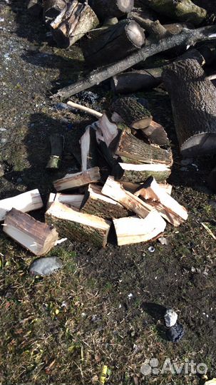 Дрова колотые
