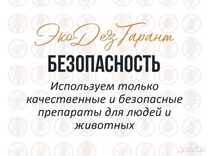 Уничтожение насекомых