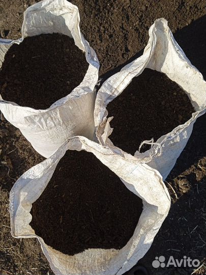 Перегной от крс