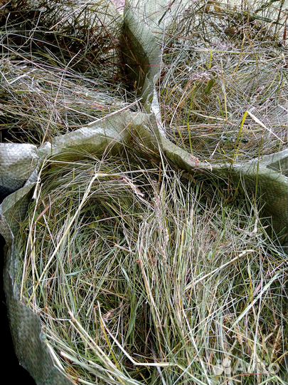 Фасованное сено